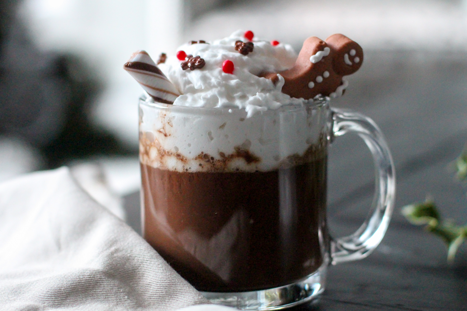 Vegan Gingerbread Hot Chocolate