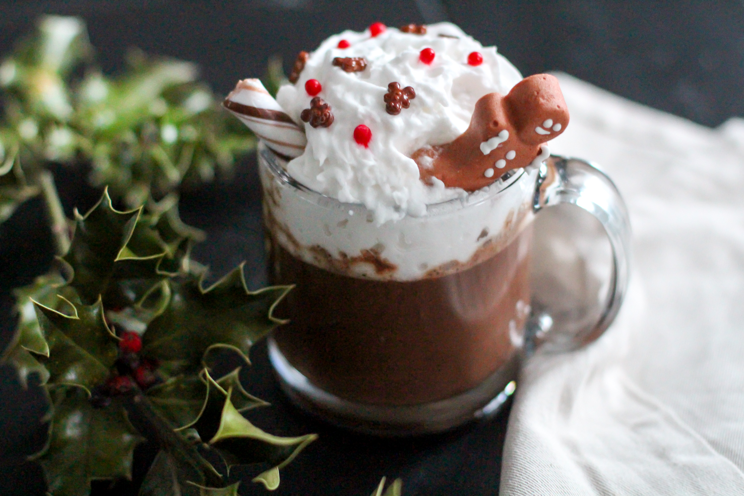 Vegan Gingerbread Hot Chocolate