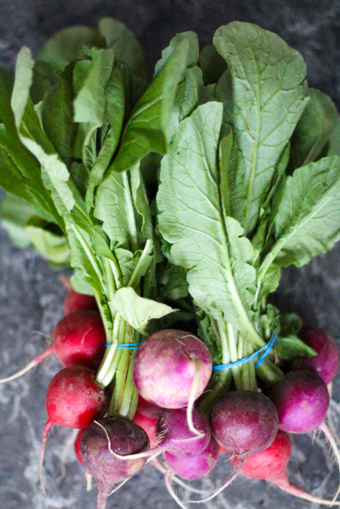 How To Make Radish Leaf Pesto Susan Cooks Vegan