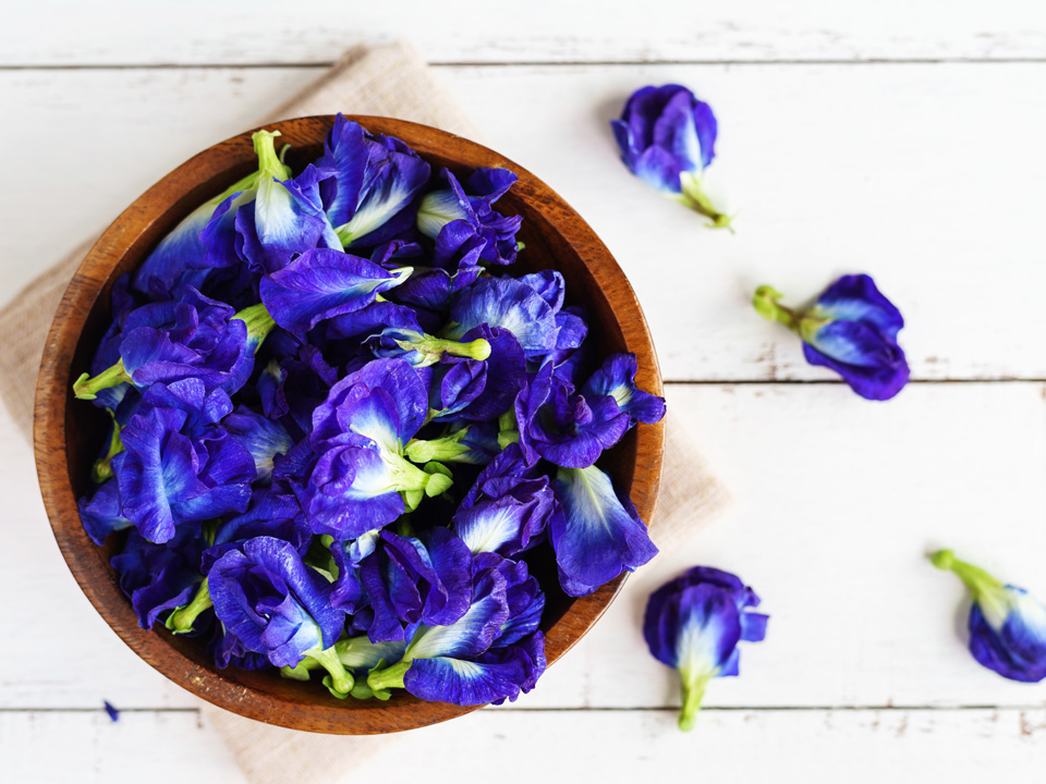 Blue-Butterfly-Pea-Flower-Tea